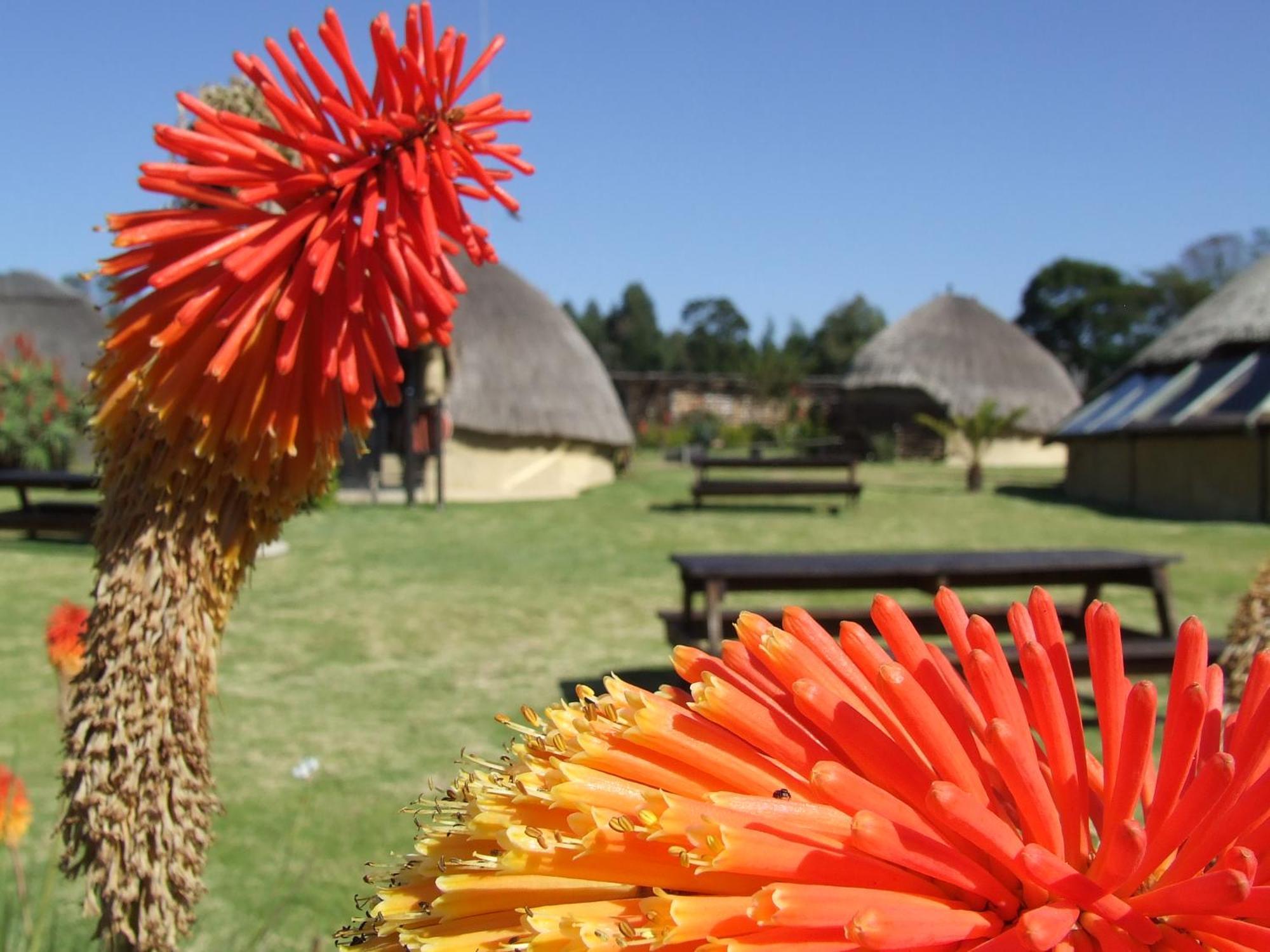 Hawane Resort Mbabane Bagian luar foto